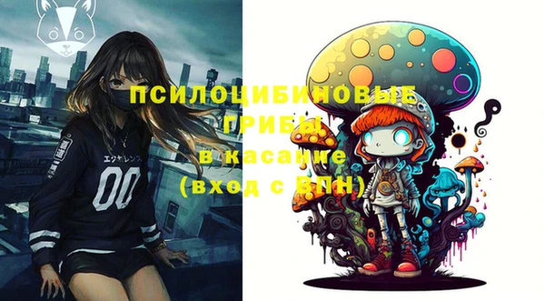 MDMA Медвежьегорск