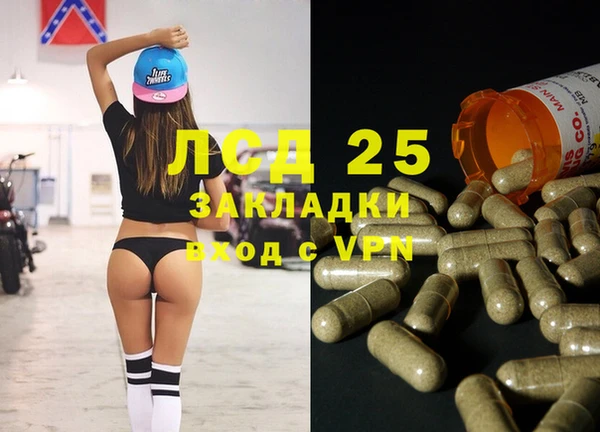 ПСИЛОЦИБИНОВЫЕ ГРИБЫ Майский