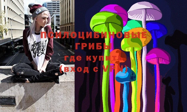 MDMA Медвежьегорск