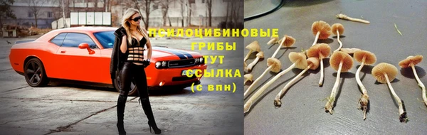 соль ск Мегион